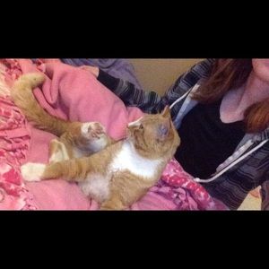 Meet your Posher, Kayann